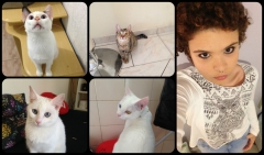 Giuliana e Suas 4 Felinas 