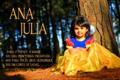 Aniversrio Ana Jlia 2014