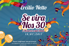 Se Vira Nos 30